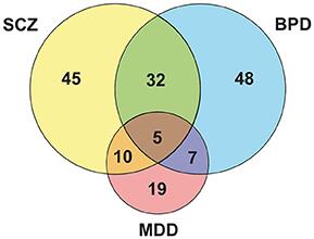 The Energy Metabolism Dysfunction in Psychiatric Disorders Postmortem Brains: Focus on Proteomic Evidence